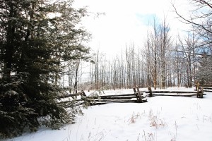 Frosty Winter Morning